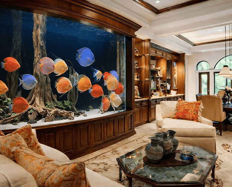 Modern aquarium design for office in Cambodia